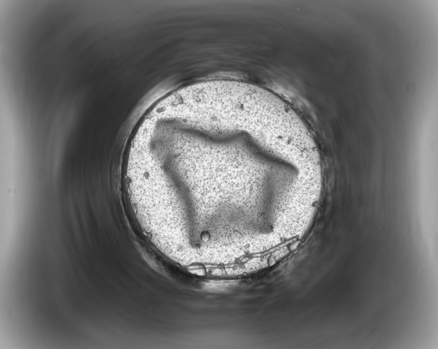 X0000086280051200704262044