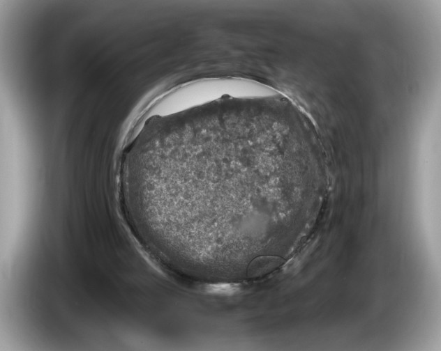 X0000086280053200704262044