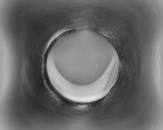 X0000086280054200704262044