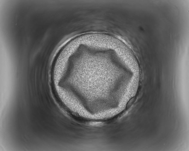 X0000086280055200704262044