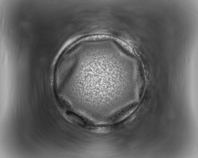 X0000086280056200704262044