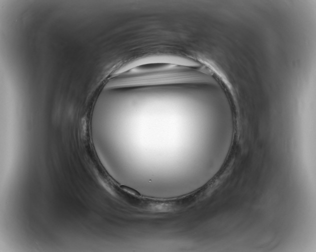 X0000086280057200704262044