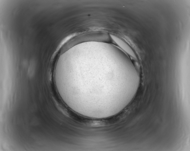 X0000086280060200704262044
