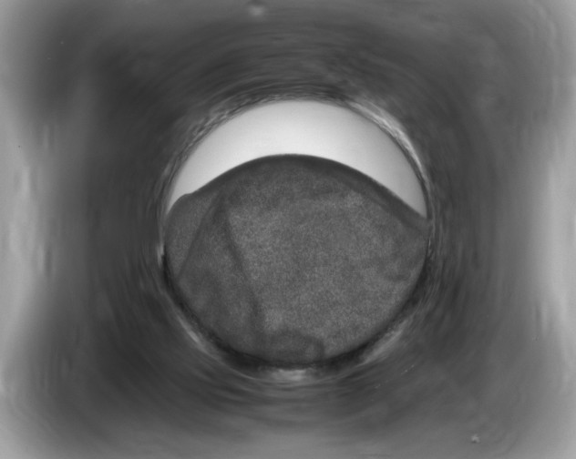 X0000086280061200704262044