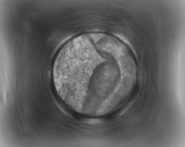 X0000086280063200704262044