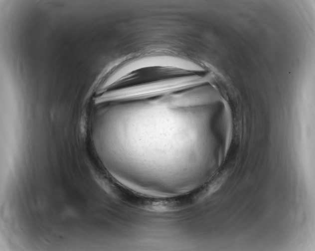 X0000086280064200704262044