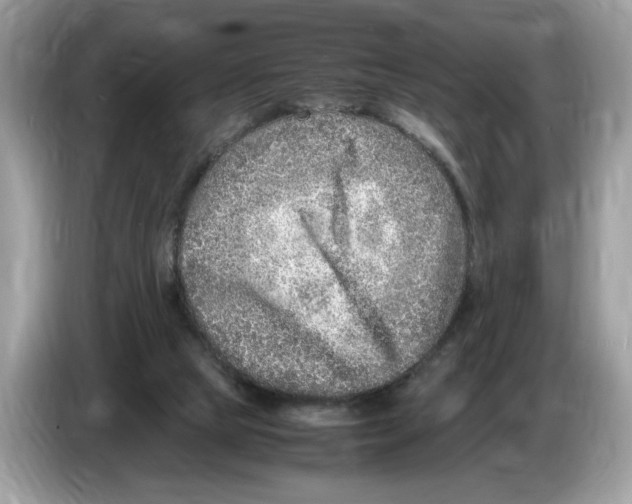 X0000086280065200704262044
