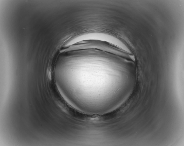 X0000086280068200704262044