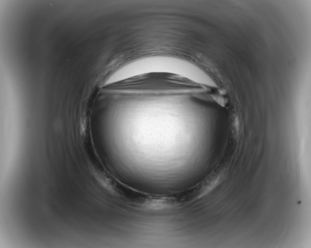 X0000086280072200704262044