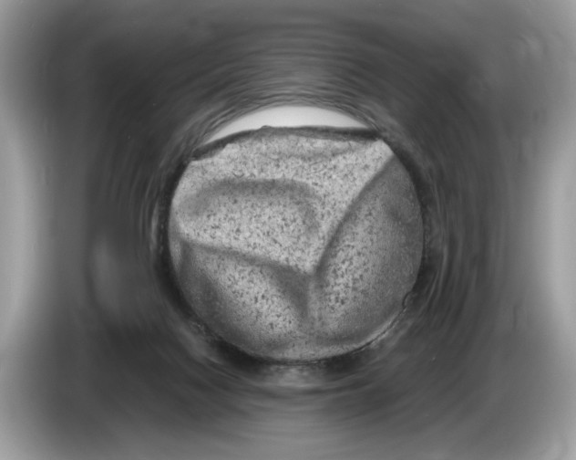 X0000086280074200704262044