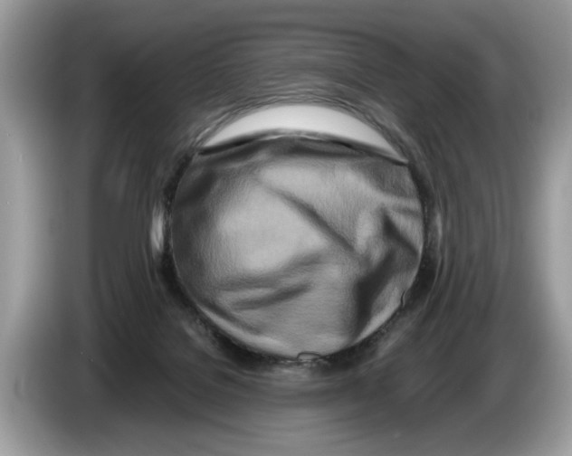 X0000086280076200704262044