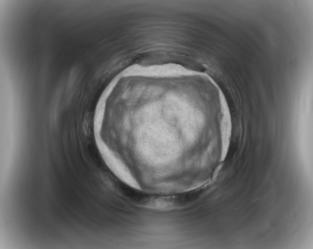 X0000086280078200704262044