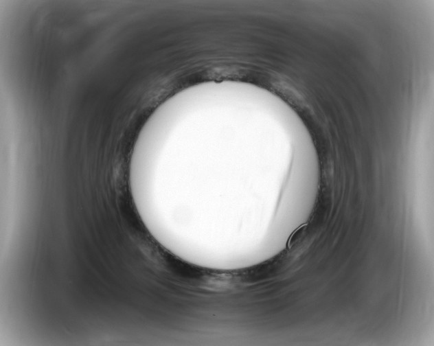 X0000086280079200704262044