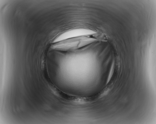 X0000086280080200704262044