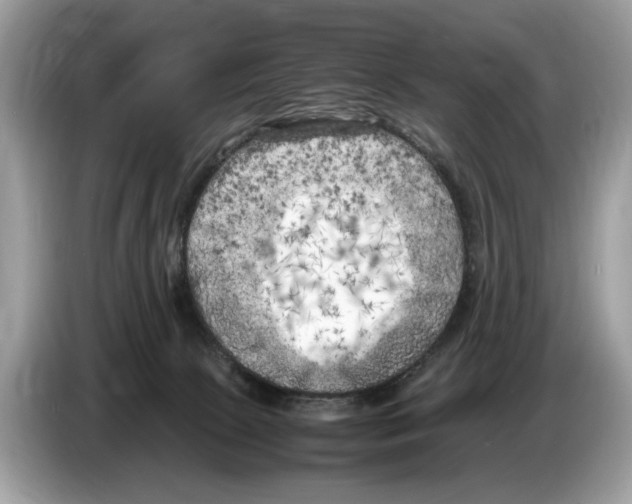 X0000086280081200704262045