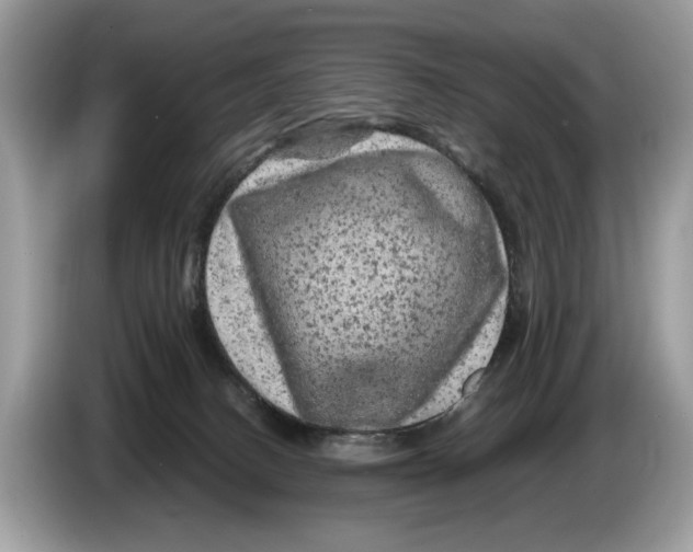 X0000086280082200704262045