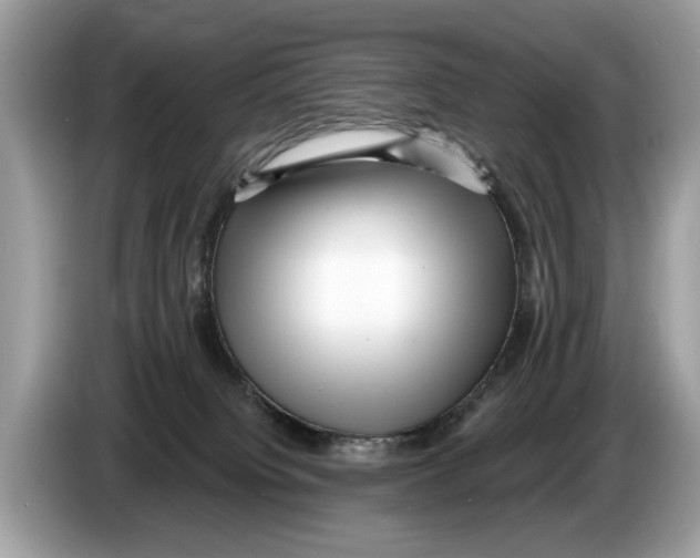 X0000086280084200704262045