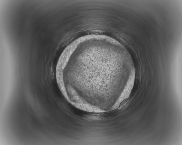 X0000086280086200704262045