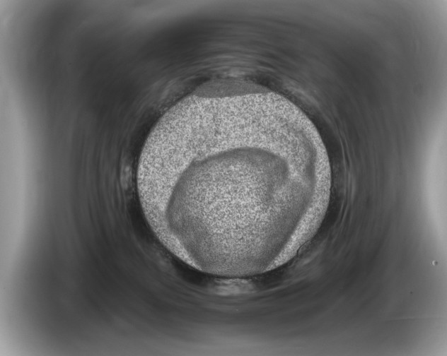X0000086280087200704262045