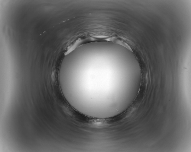X0000086280088200704262045