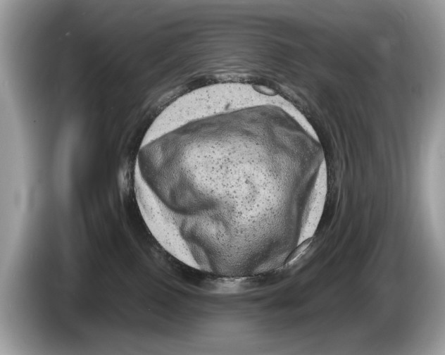 X0000086280090200704262045