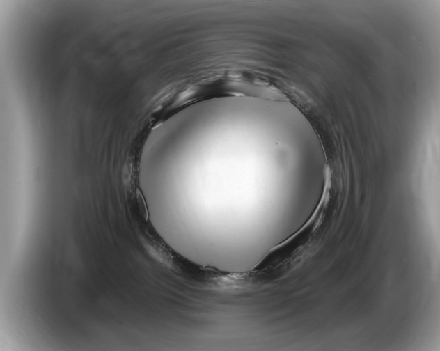 X0000086280092200704262045
