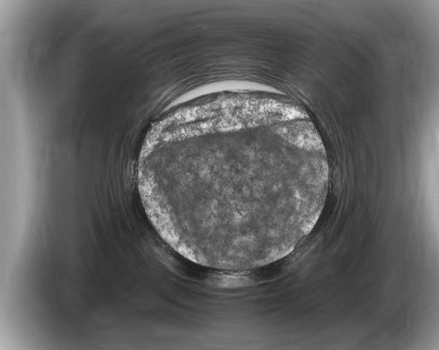 X0000086280093200704262045