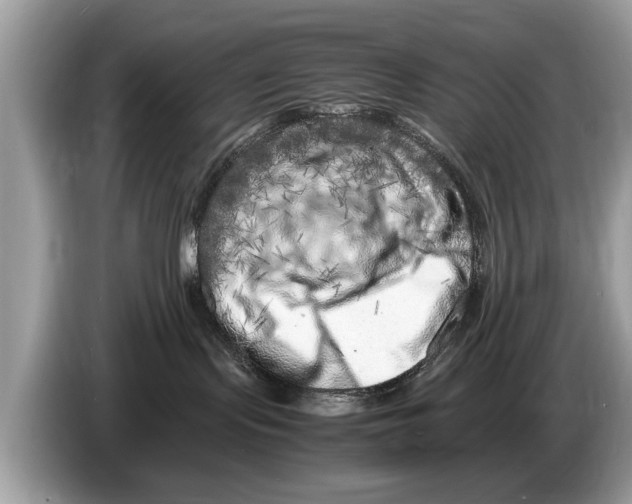 X0000086280095200704262045