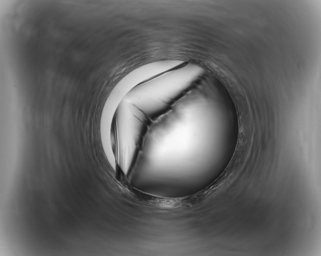 X0000086280096200704262045