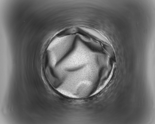 X0000086280097200704262044
