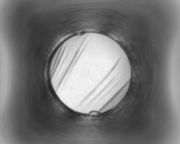 X0000086280098200704262044