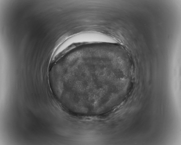 X0000086280099200704262044