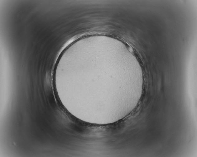 X0000086280100200704262044