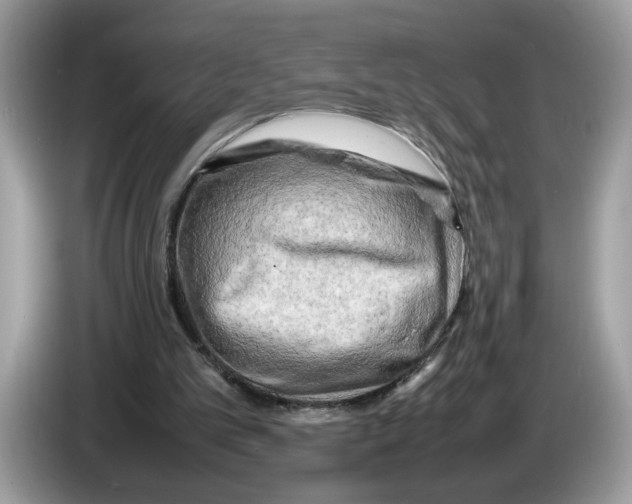 X0000086280101200704262044