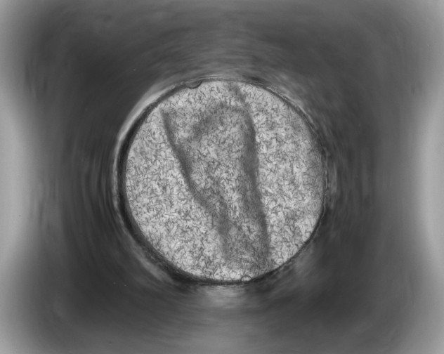 X0000086280102200704262044