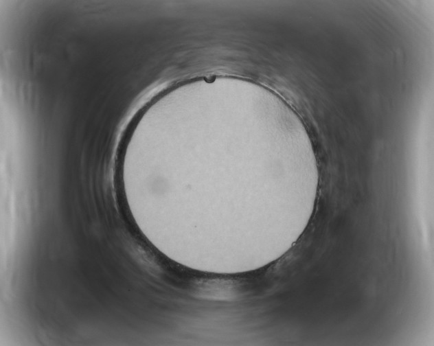 X0000086280104200704262044
