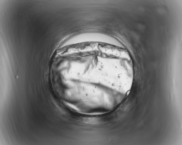 X0000086280107200704262044