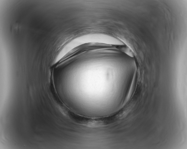 X0000086280109200704262044
