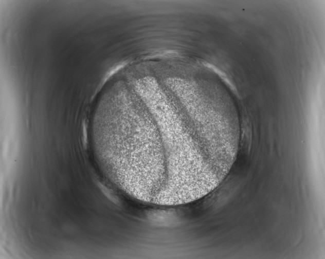 X0000086280110200704262044