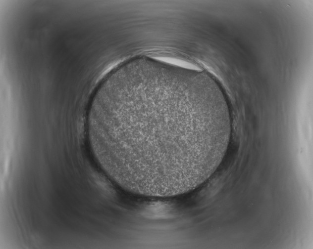 X0000086280111200704262044