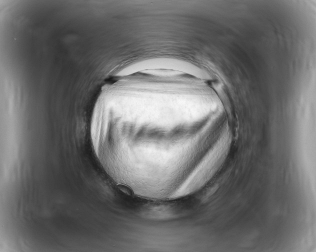 X0000086280113200704262044