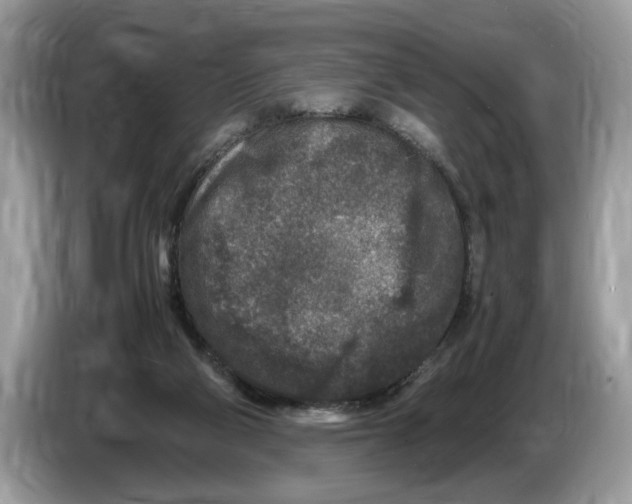 X0000086280114200704262044