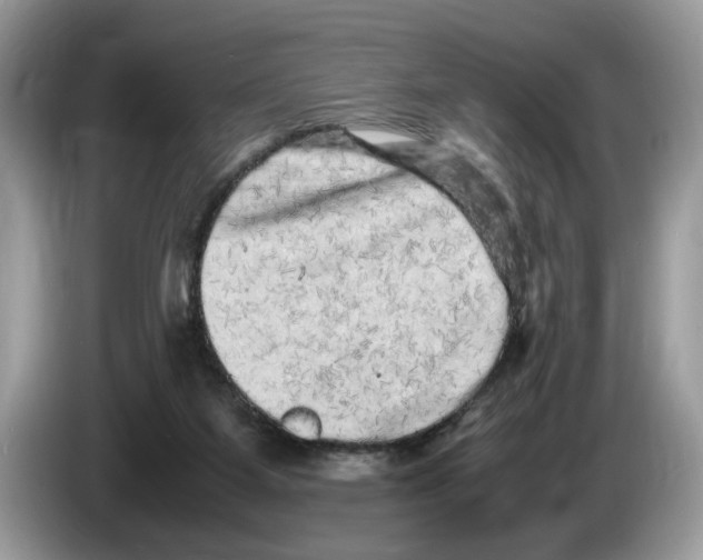 X0000086280115200704262044