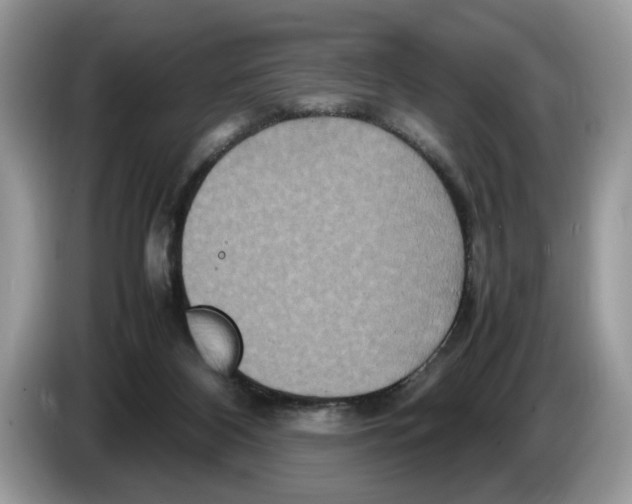 X0000086280116200704262044