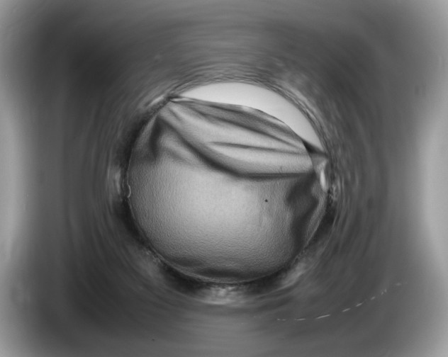X0000086280117200704262044