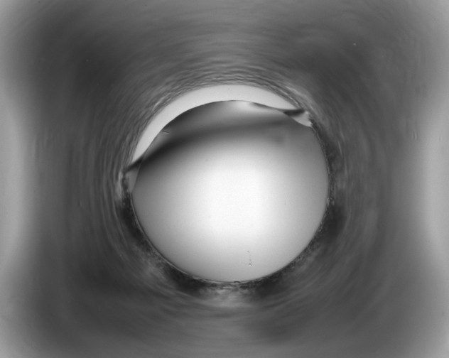 X0000086280121200704262044
