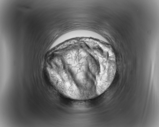 X0000086280123200704262044