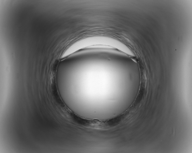 X0000086280125200704262044