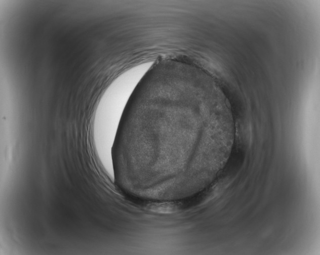 X0000086280127200704262044