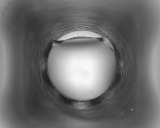 X0000086280129200704262044